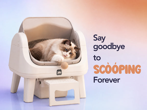 Say goodbye to scooping